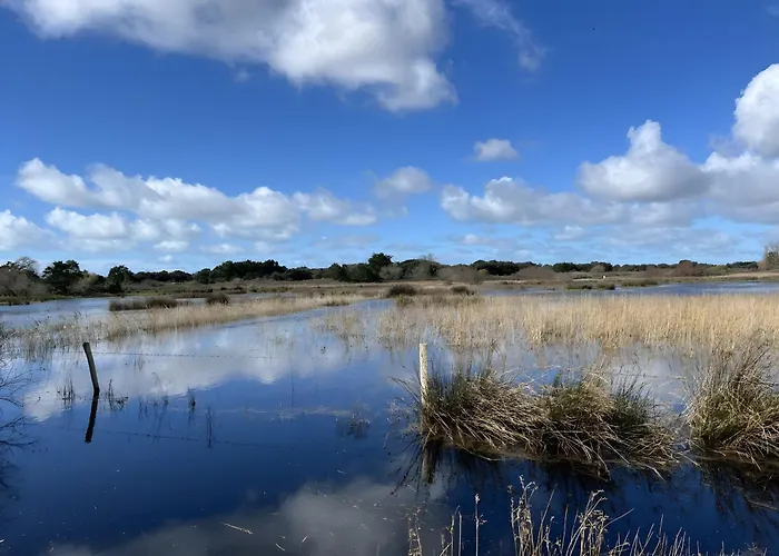 Сasa de vacaciones La Petite Maison Avec Palmier *
