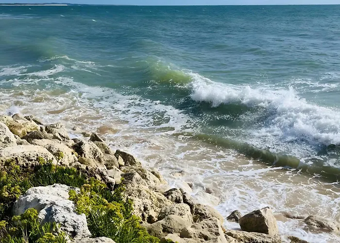La Petite Maison Avec Palmier * Dolus d'Oléron