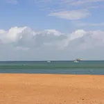 La Petite Maison Avec Palmier *
