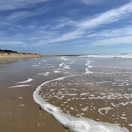 بيت للعطل La Petite Maison Avec Palmier Dolus d'Oléron