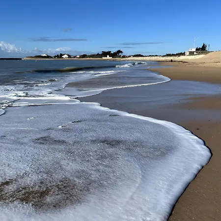 بيت للعطل La Petite Maison Avec Palmier *