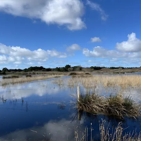 بيت للعطل La Petite Maison Avec Palmier *