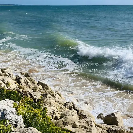 La Petite Maison Avec Palmier * Dolus d'Oléron