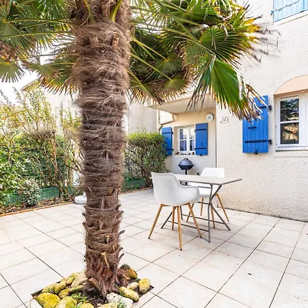 La Petite Maison Avec Palmier *