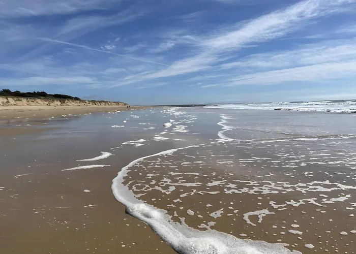 بيت للعطل La Petite Maison Avec Palmier Dolus d'Oléron
